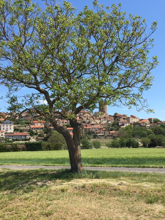La Charmeraie Montpeyroux  Luaran gambar