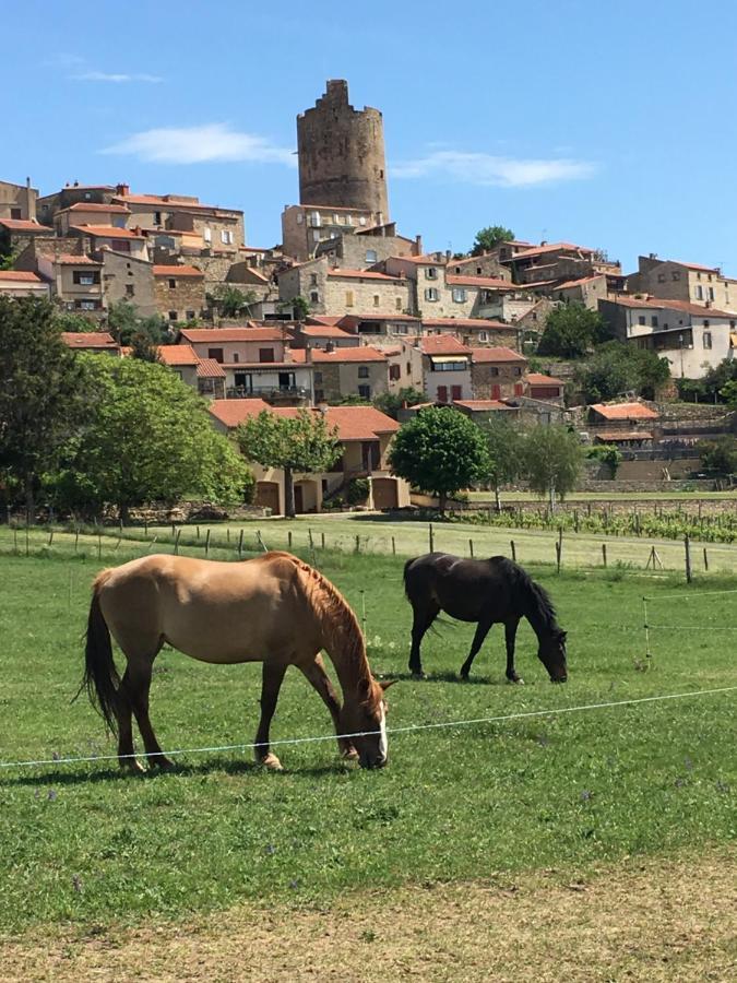 La Charmeraie Montpeyroux  Luaran gambar